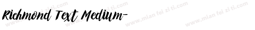 Richmond Text Medium字体转换